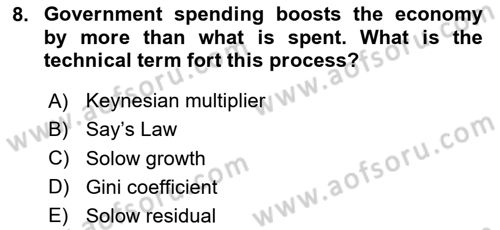 Macroeconomic Theory Dersi 2023 - 2024 Yılı Yaz Okulu Sınav Soruları 8. Soru