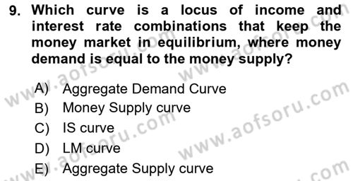 Macroeconomic Theory Dersi 2023 - 2024 Yılı Yaz Okulu Sınav Soruları 9. Soru