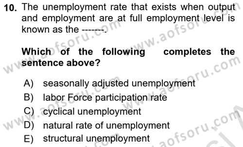 Macroeconomic Theory Dersi 2024 - 2025 Yılı (Vize) Ara Sınav Soruları 10. Soru