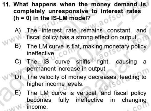 Macroeconomic Theory Dersi 2024 - 2025 Yılı (Vize) Ara Sınav Soruları 11. Soru