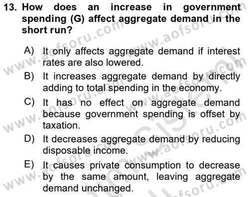 Macroeconomic Theory Dersi 2024 - 2025 Yılı (Vize) Ara Sınav Soruları 13. Soru