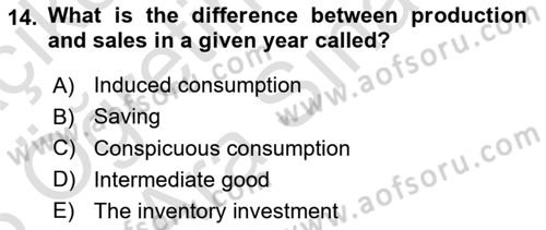 Macroeconomic Theory Dersi 2024 - 2025 Yılı (Vize) Ara Sınav Soruları 14. Soru