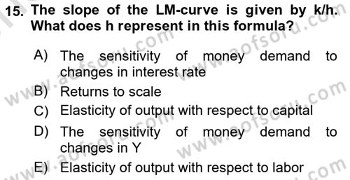 Macroeconomic Theory Dersi 2024 - 2025 Yılı (Vize) Ara Sınav Soruları 15. Soru