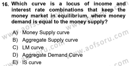 Macroeconomic Theory Dersi 2024 - 2025 Yılı (Vize) Ara Sınav Soruları 16. Soru