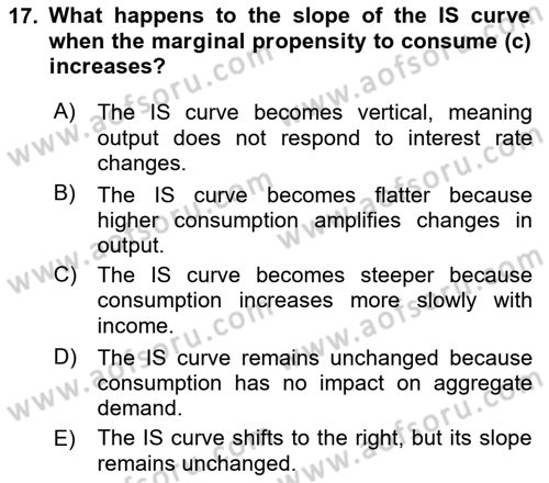 Macroeconomic Theory Dersi 2024 - 2025 Yılı (Vize) Ara Sınav Soruları 17. Soru