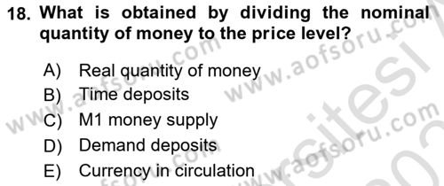Macroeconomic Theory Dersi 2024 - 2025 Yılı (Vize) Ara Sınav Soruları 18. Soru