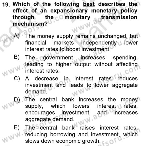 Macroeconomic Theory Dersi 2024 - 2025 Yılı (Vize) Ara Sınav Soruları 19. Soru