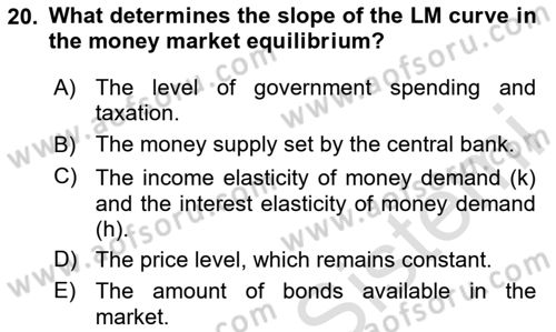 Macroeconomic Theory Dersi 2024 - 2025 Yılı (Vize) Ara Sınav Soruları 20. Soru