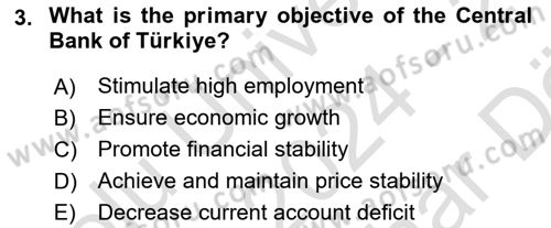 Macroeconomic Theory Dersi 2024 - 2025 Yılı (Vize) Ara Sınav Soruları 3. Soru