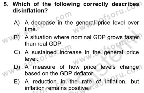 Macroeconomic Theory Dersi 2024 - 2025 Yılı (Vize) Ara Sınav Soruları 5. Soru