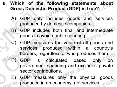 Macroeconomic Theory Dersi 2024 - 2025 Yılı (Vize) Ara Sınav Soruları 6. Soru