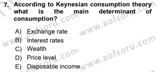 Macroeconomic Theory Dersi 2024 - 2025 Yılı (Vize) Ara Sınav Soruları 7. Soru