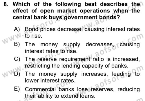 Macroeconomic Theory Dersi 2024 - 2025 Yılı (Vize) Ara Sınav Soruları 8. Soru