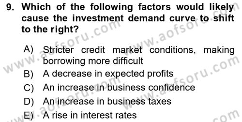 Macroeconomic Theory Dersi 2024 - 2025 Yılı (Vize) Ara Sınav Soruları 9. Soru