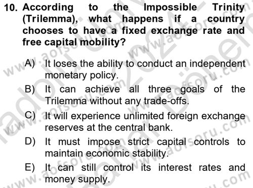 Macroeconomic Theory Dersi 2024 - 2025 Yılı (Final) Dönem Sonu Sınav Soruları 10. Soru