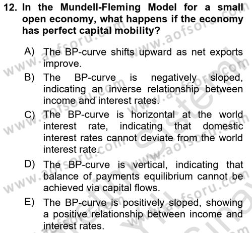 Macroeconomic Theory Dersi 2024 - 2025 Yılı (Final) Dönem Sonu Sınav Soruları 12. Soru