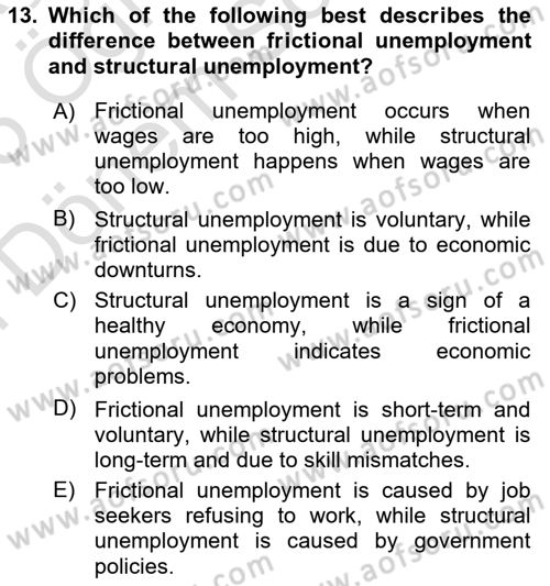 Macroeconomic Theory Dersi 2024 - 2025 Yılı (Final) Dönem Sonu Sınav Soruları 13. Soru
