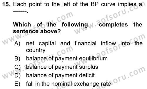 Macroeconomic Theory Dersi 2024 - 2025 Yılı (Final) Dönem Sonu Sınav Soruları 15. Soru