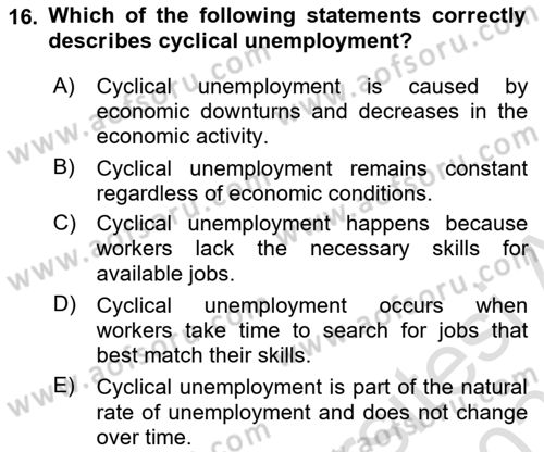 Macroeconomic Theory Dersi 2024 - 2025 Yılı (Final) Dönem Sonu Sınav Soruları 16. Soru