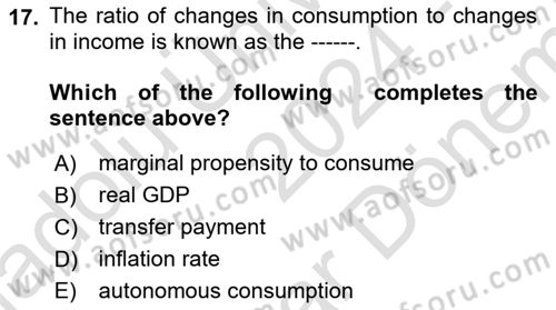 Macroeconomic Theory Dersi 2024 - 2025 Yılı (Final) Dönem Sonu Sınav Soruları 17. Soru