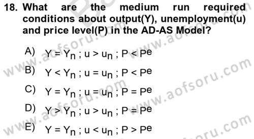 Macroeconomic Theory Dersi 2024 - 2025 Yılı (Final) Dönem Sonu Sınav Soruları 18. Soru