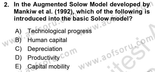 Macroeconomic Theory Dersi 2024 - 2025 Yılı (Final) Dönem Sonu Sınav Soruları 2. Soru