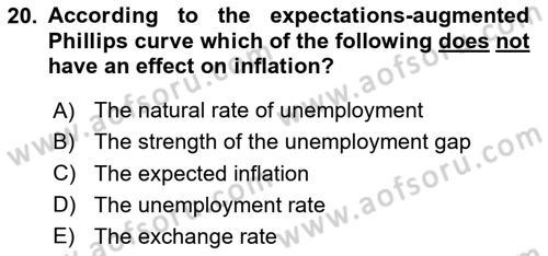Macroeconomic Theory Dersi 2024 - 2025 Yılı (Final) Dönem Sonu Sınav Soruları 20. Soru