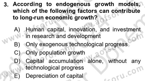 Macroeconomic Theory Dersi 2024 - 2025 Yılı (Final) Dönem Sonu Sınav Soruları 3. Soru