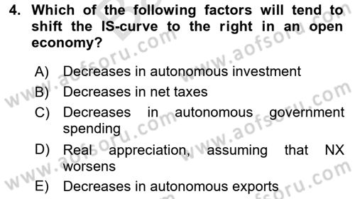 Macroeconomic Theory Dersi 2024 - 2025 Yılı (Final) Dönem Sonu Sınav Soruları 4. Soru
