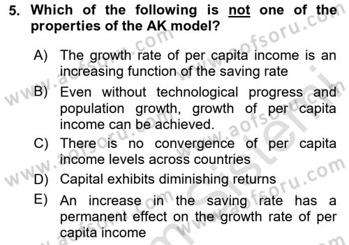 Macroeconomic Theory Dersi 2024 - 2025 Yılı (Final) Dönem Sonu Sınav Soruları 5. Soru