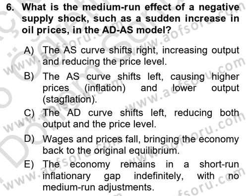 Macroeconomic Theory Dersi 2024 - 2025 Yılı (Final) Dönem Sonu Sınav Soruları 6. Soru