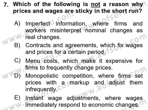 Macroeconomic Theory Dersi 2024 - 2025 Yılı (Final) Dönem Sonu Sınav Soruları 7. Soru
