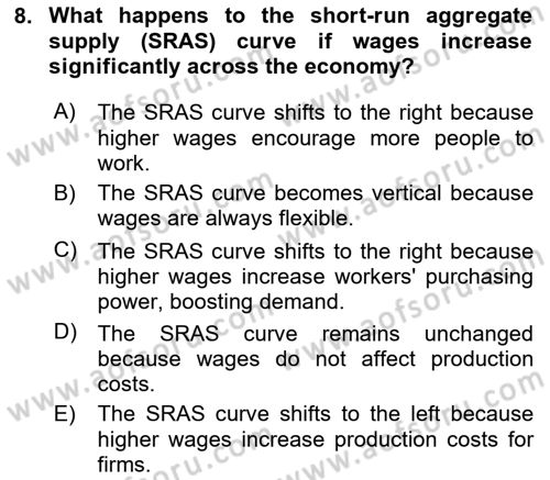 Macroeconomic Theory Dersi 2024 - 2025 Yılı (Final) Dönem Sonu Sınav Soruları 8. Soru