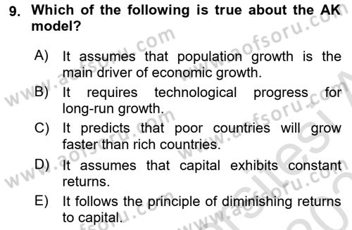 Macroeconomic Theory Dersi 2024 - 2025 Yılı (Final) Dönem Sonu Sınav Soruları 9. Soru