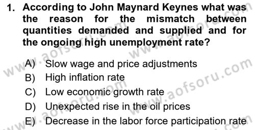 Macroeconomic Theory Dersi 2024 - 2025 Yılı Yaz Okulu Sınav Soruları 1. Soru
