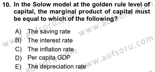 Macroeconomic Theory Dersi 2024 - 2025 Yılı Yaz Okulu Sınav Soruları 10. Soru