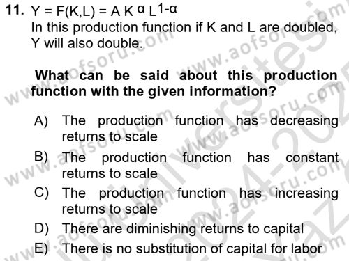 Macroeconomic Theory Dersi 2024 - 2025 Yılı Yaz Okulu Sınav Soruları 11. Soru