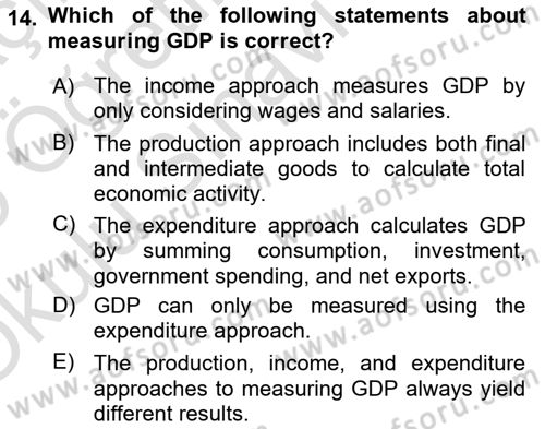 Macroeconomic Theory Dersi 2024 - 2025 Yılı Yaz Okulu Sınav Soruları 14. Soru