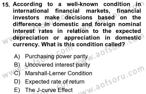 Macroeconomic Theory Dersi 2024 - 2025 Yılı Yaz Okulu Sınav Soruları 15. Soru