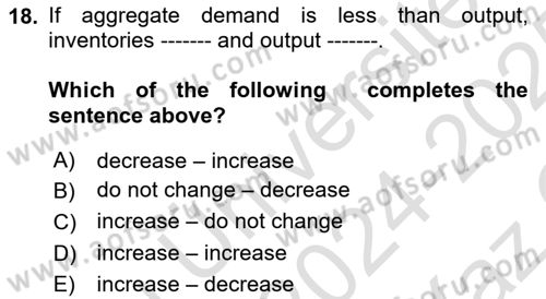 Macroeconomic Theory Dersi 2024 - 2025 Yılı Yaz Okulu Sınav Soruları 18. Soru