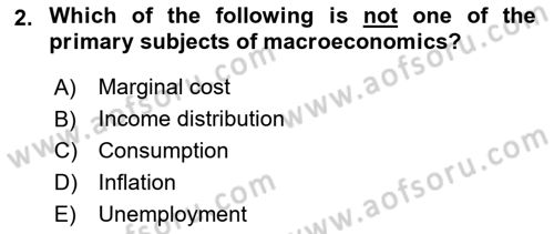 Macroeconomic Theory Dersi 2024 - 2025 Yılı Yaz Okulu Sınav Soruları 2. Soru