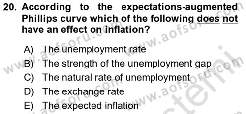Macroeconomic Theory Dersi 2024 - 2025 Yılı Yaz Okulu Sınav Soruları 20. Soru