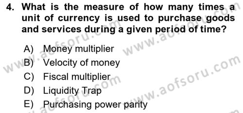 Macroeconomic Theory Dersi 2024 - 2025 Yılı Yaz Okulu Sınav Soruları 4. Soru
