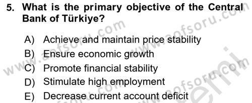 Macroeconomic Theory Dersi 2024 - 2025 Yılı Yaz Okulu Sınav Soruları 5. Soru