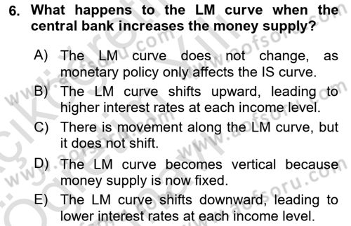 Macroeconomic Theory Dersi 2024 - 2025 Yılı Yaz Okulu Sınav Soruları 6. Soru