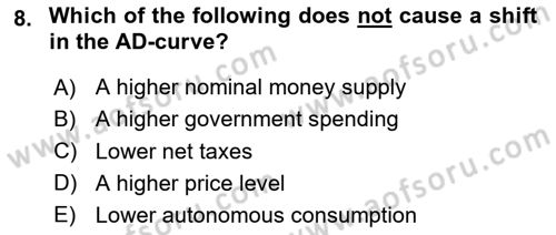 Macroeconomic Theory Dersi 2024 - 2025 Yılı Yaz Okulu Sınav Soruları 8. Soru