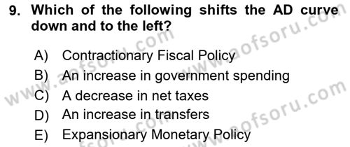 Macroeconomic Theory Dersi 2024 - 2025 Yılı Yaz Okulu Sınav Soruları 9. Soru