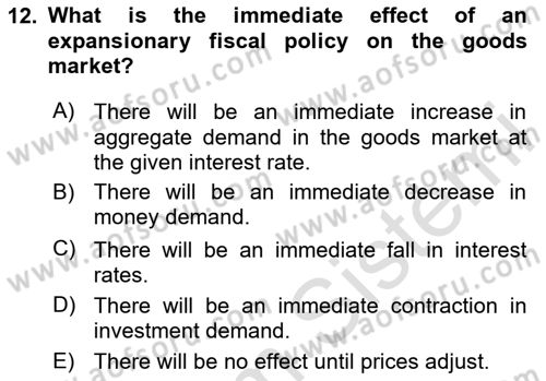 Macroeconomic Theory Dersi 2025 - 2026 Yılı (Vize) Ara Sınav Soruları 12. Soru
