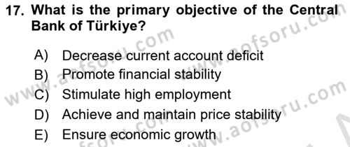 Macroeconomic Theory Dersi 2025 - 2026 Yılı (Vize) Ara Sınav Soruları 17. Soru
