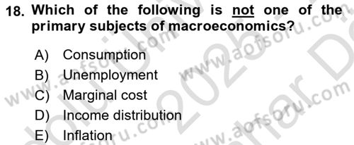 Macroeconomic Theory Dersi 2025 - 2026 Yılı (Vize) Ara Sınav Soruları 18. Soru